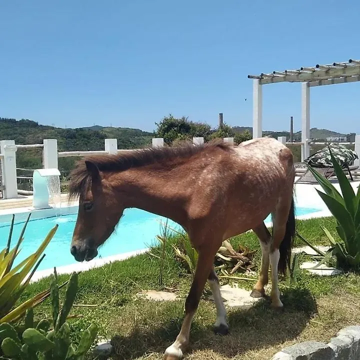 Farm stay Pousada Fazendinha Beach Club Arraial Do Cabo